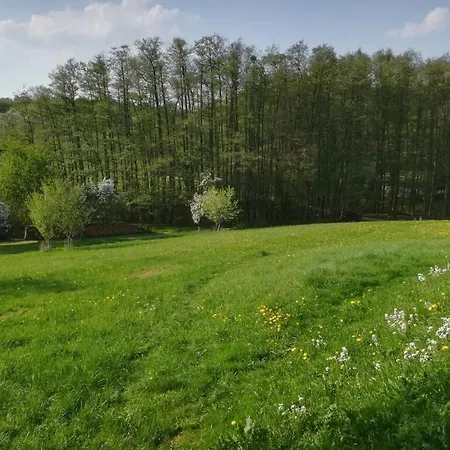 Semesterbostad Tromm - Blick Comfortable